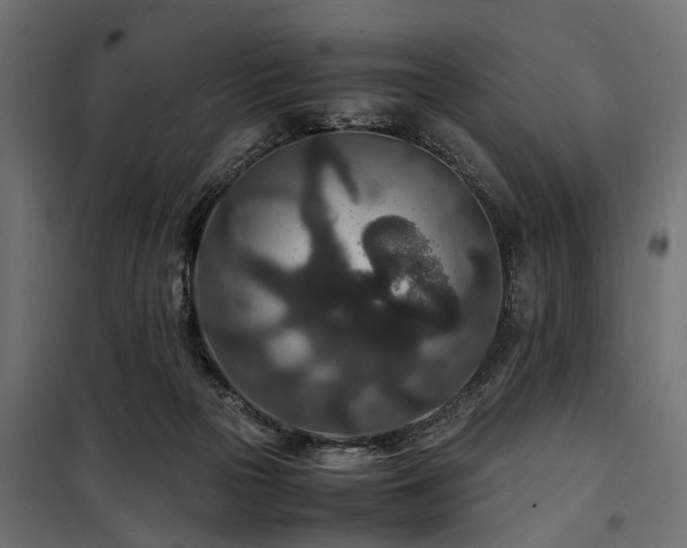 X0000100860169200806201225