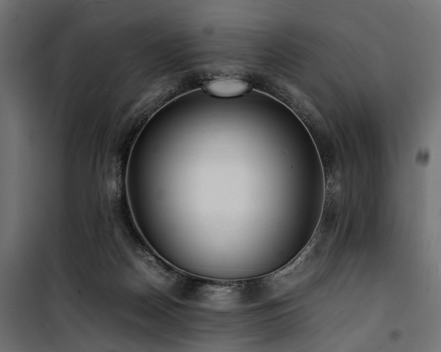 X0000100860170200806201225