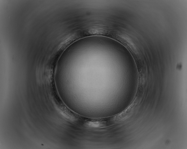 X0000100860171200806201225