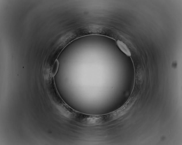 X0000100860172200806201225