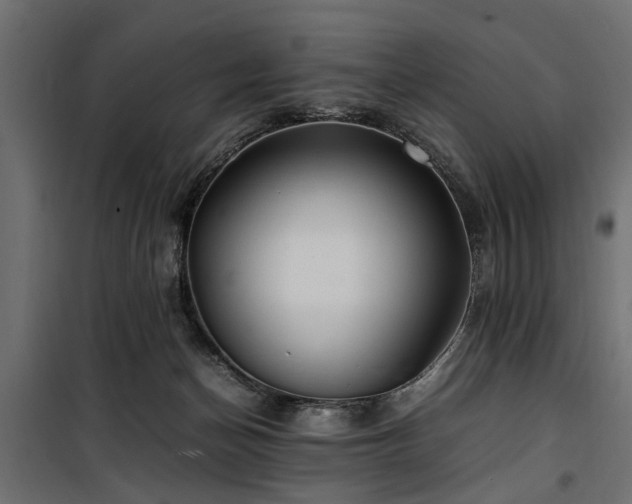 X0000100860174200806201225