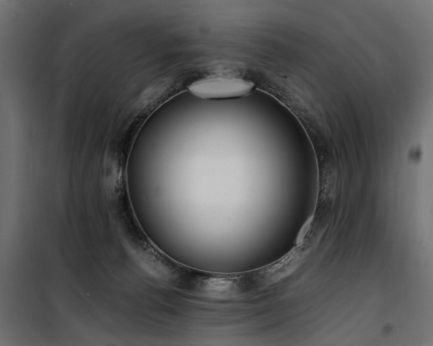 X0000100860176200806201225