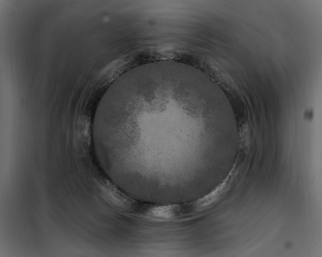 X0000100860178200806201225