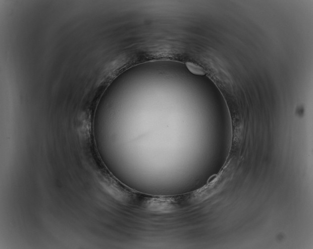 X0000100860179200806201225