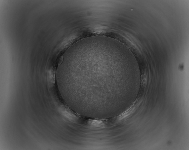 X0000100860180200806201225