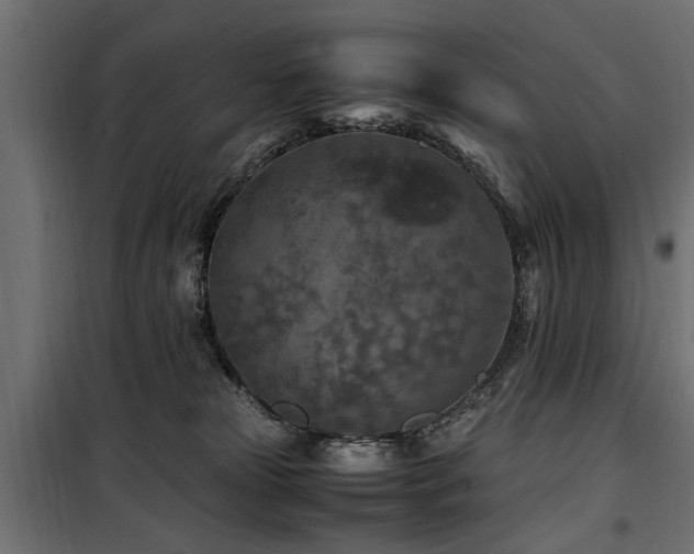 X0000100860181200806201225