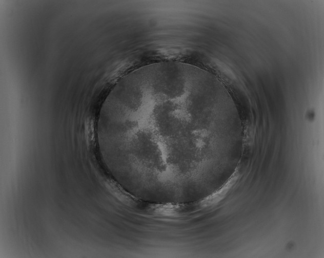 X0000100860182200806201225