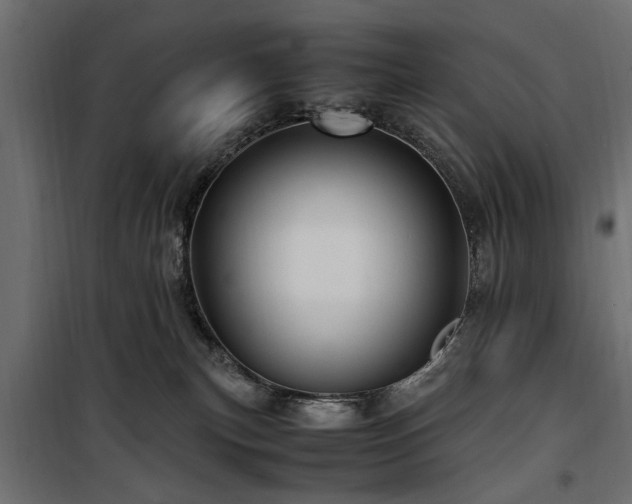 X0000100860183200806201225