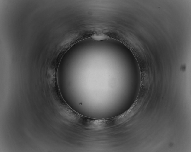 X0000100860184200806201225