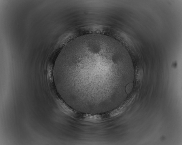 X0000100860185200806201225