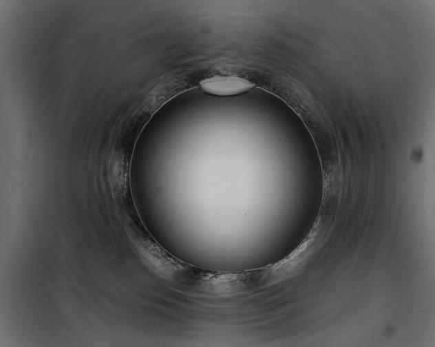 X0000100860186200806201225