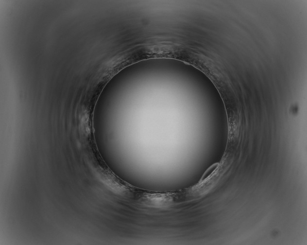 X0000100860187200806201225