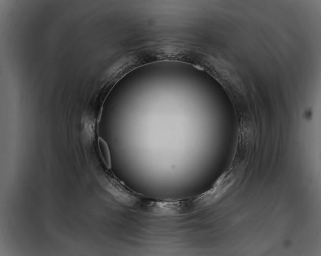 X0000100860188200806201226