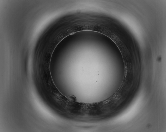 X0000100860190200806201226