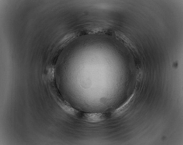 X0000100860191200806201226