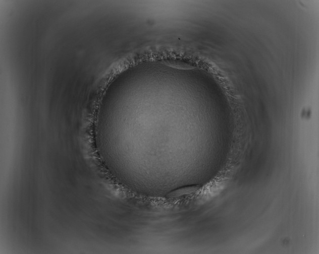 X0000100860192200806201226