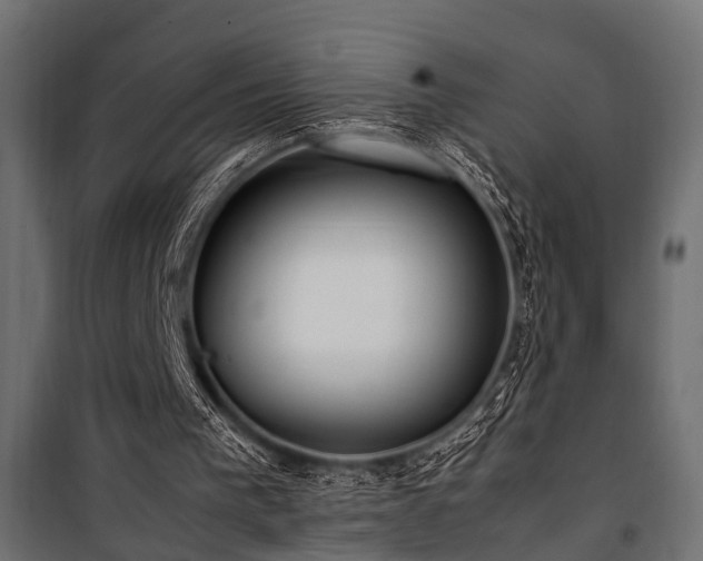 X0000100860193200806201225