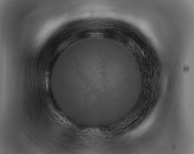 X0000100860194200806201225