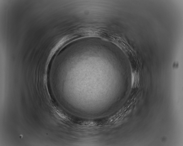 X0000100860195200806201225