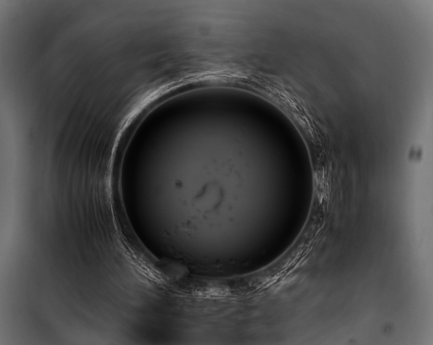 X0000100860196200806201225