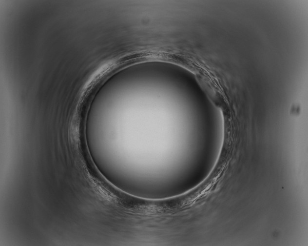 X0000100860197200806201225