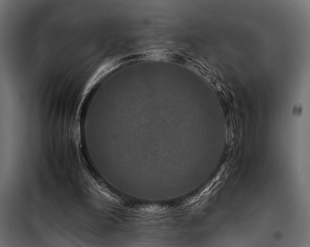 X0000100860198200806201225