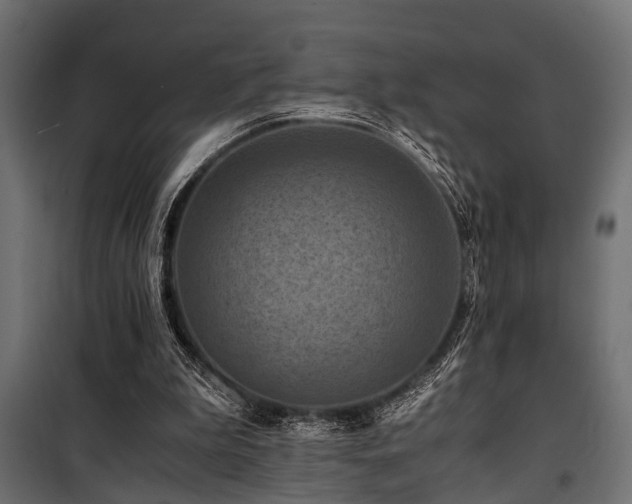 X0000100860199200806201225