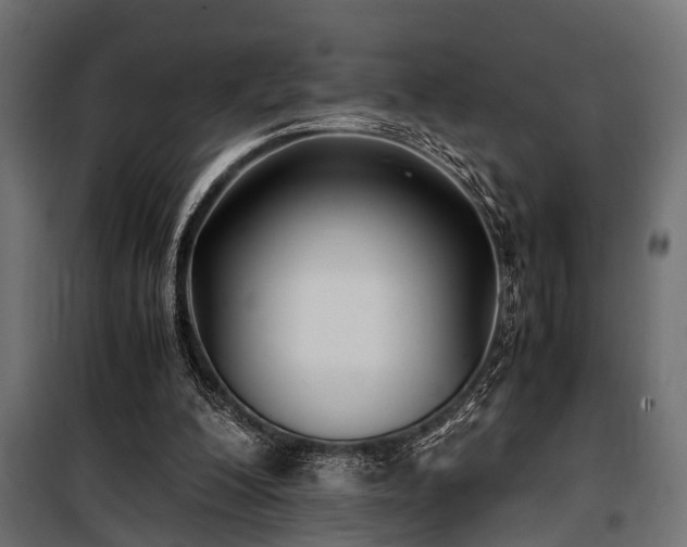 X0000100860200200806201225