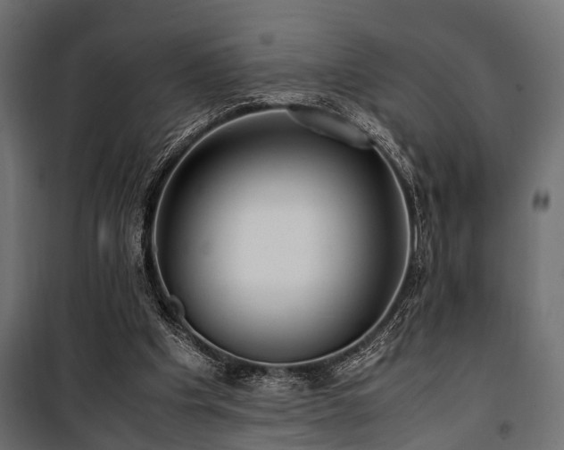 X0000100860201200806201225