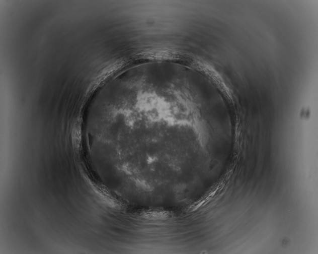 X0000100860202200806201225