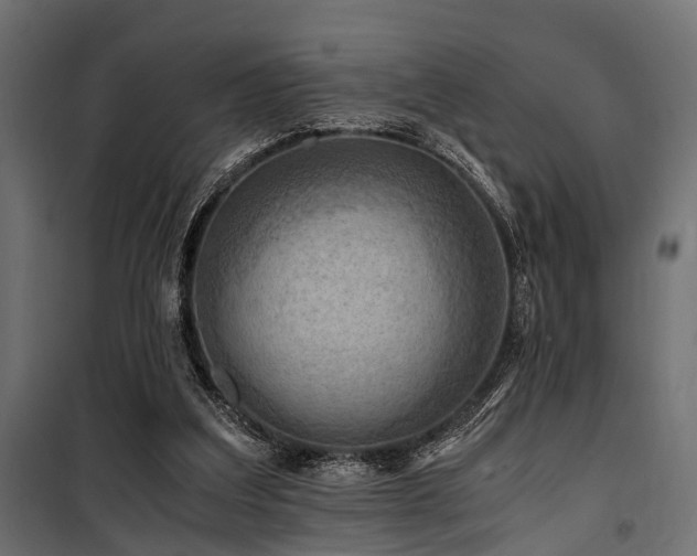 X0000100860203200806201225