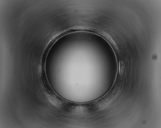 X0000100860204200806201225