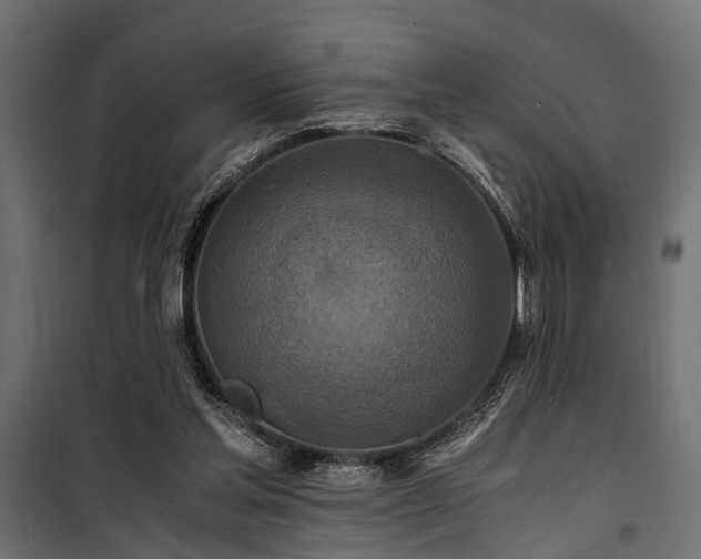 X0000100860205200806201225