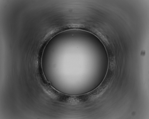 X0000100860207200806201225