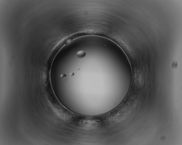 X0000100860208200806201225