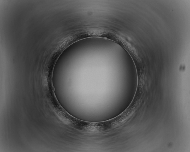 X0000100860209200806201225