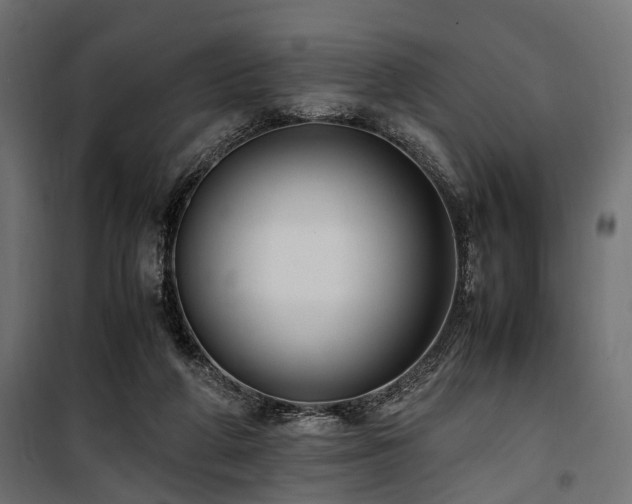 X0000100860210200806201225