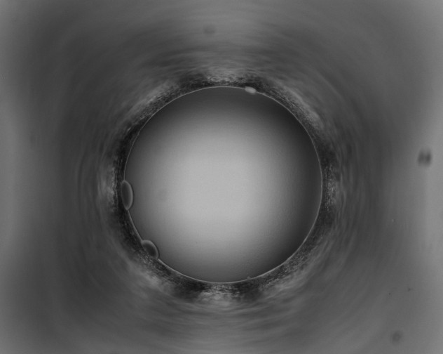 X0000100860211200806201225