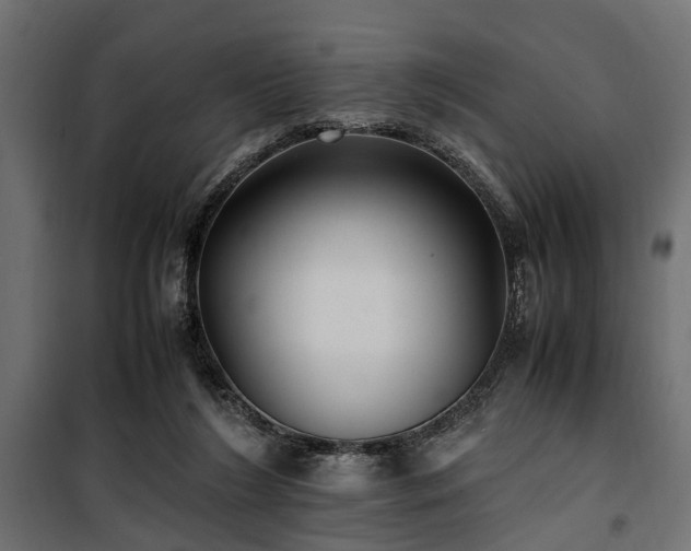 X0000100860212200806201225