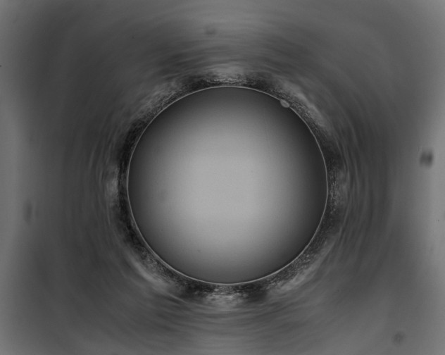 X0000100860213200806201225