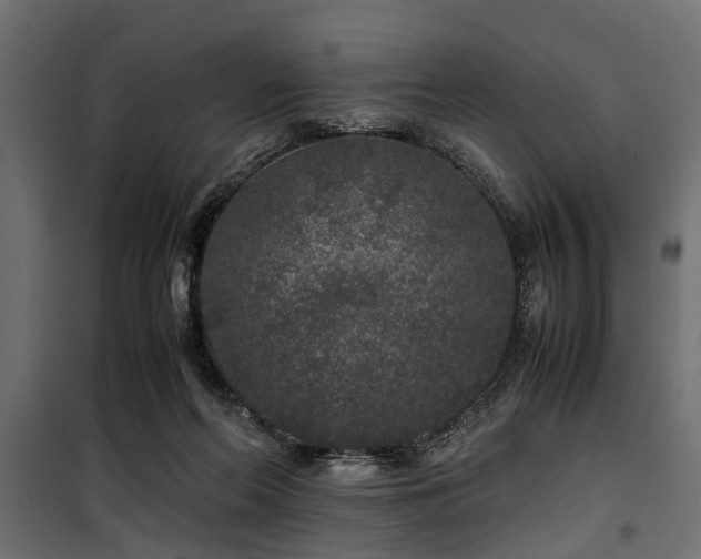 X0000100860214200806201225