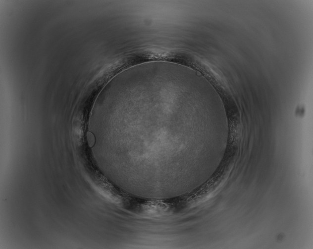 X0000100860215200806201224