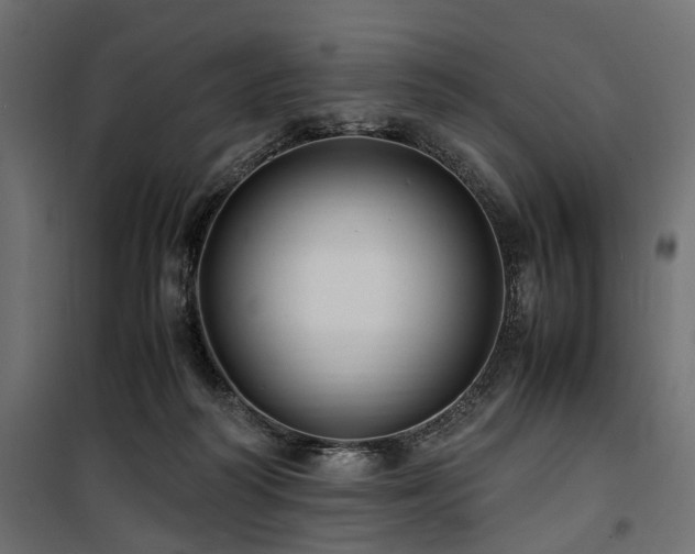 X0000100860218200806201224