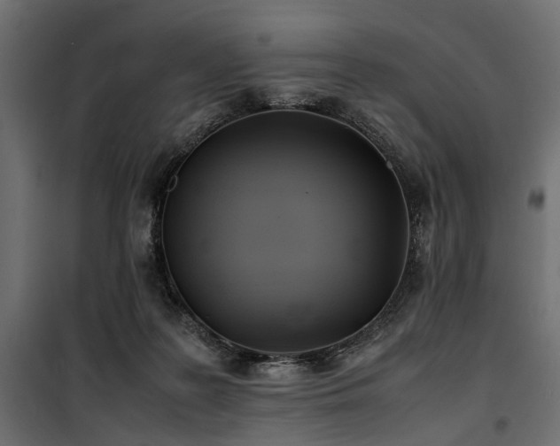 X0000100860219200806201224