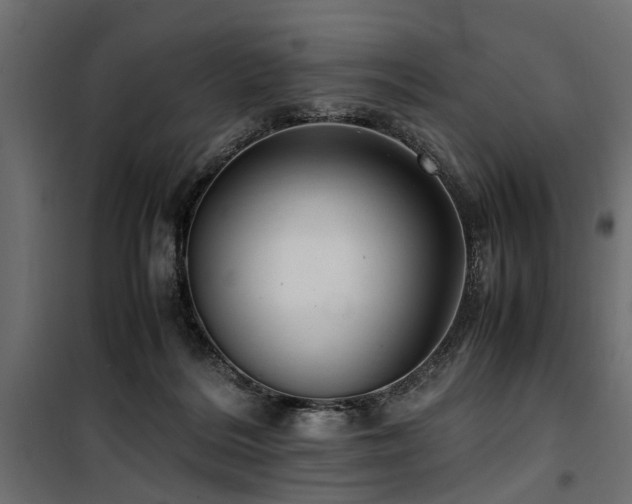 X0000100860220200806201224