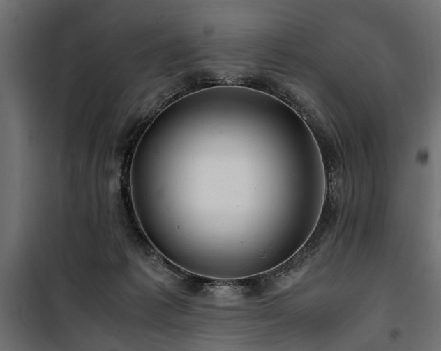 X0000100860221200806201224