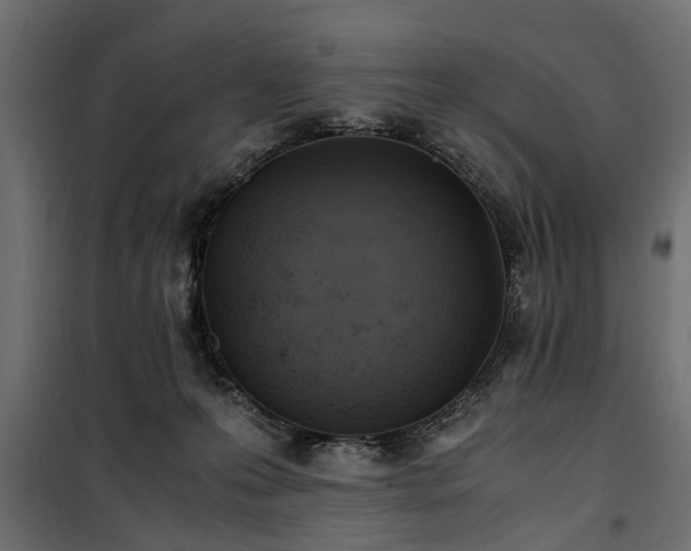 X0000100860223200806201224