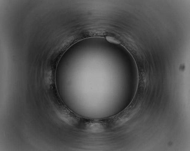 X0000100860224200806201224