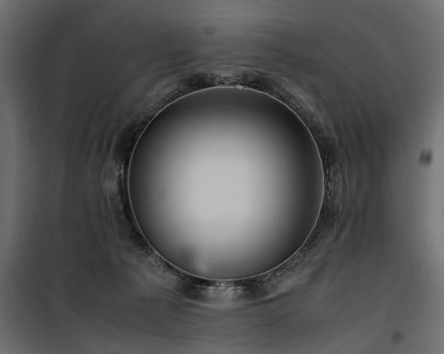 X0000100860225200806201224