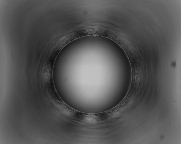 X0000100860226200806201224